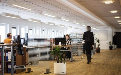 UK Immigration Law Update: What Employers Need to Know – May 2025