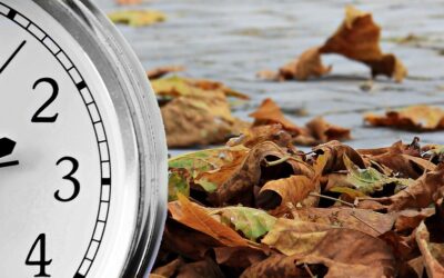 Major UK Immigration Reforms Announced for 2025–2026 – A Complete Guide